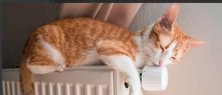  ���������� ������������ ������ �������� ��������������� �������� 