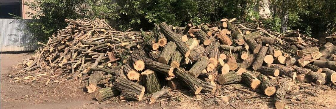  ������� ��� ������� ������ ������� ���� 