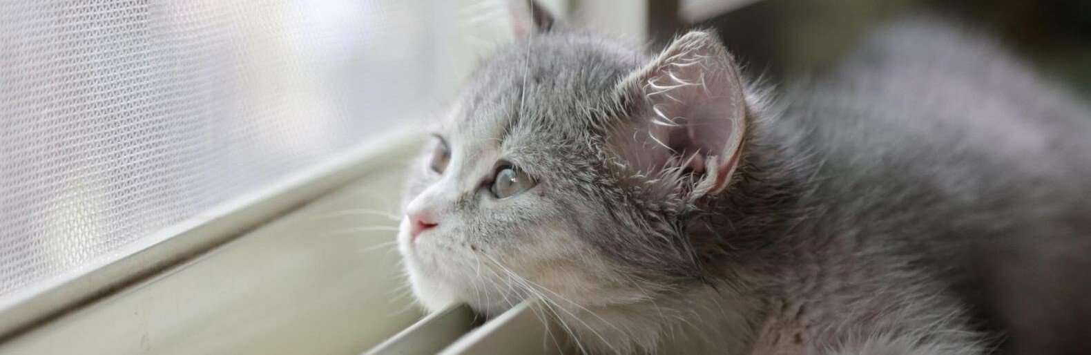  ����� ������ ��������� ������� ������ ������� ��� ������� 