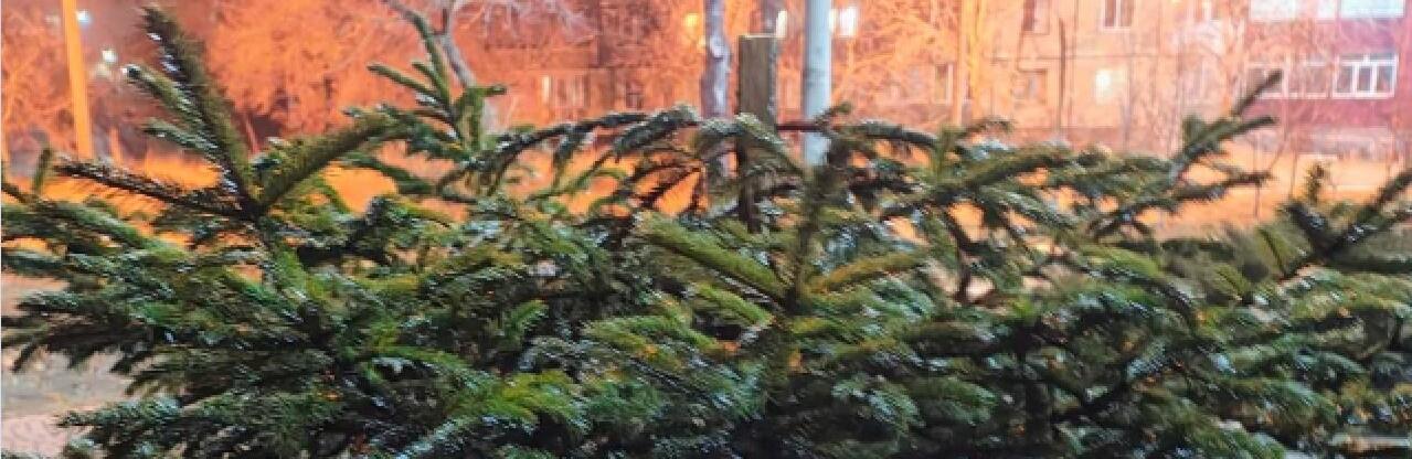 ����: 0564.ua