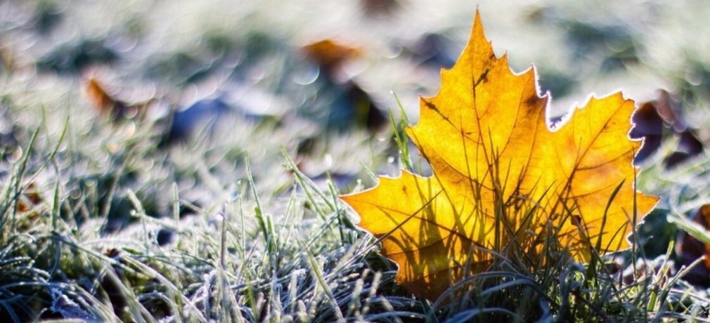  ����� ������ �������� ���� ����� ������ ���� 