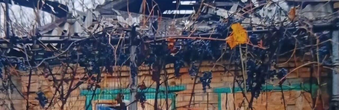  ������ �������� ����������� �������� ������� ���� ���������������� ��������� 