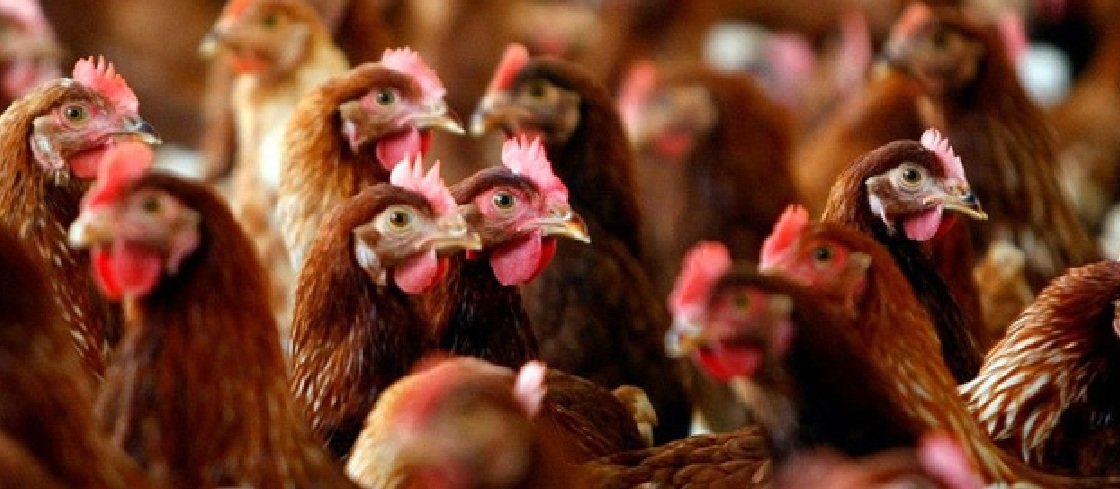  ������������ ������ ����� ����� ����� ��������� �������� ������ 