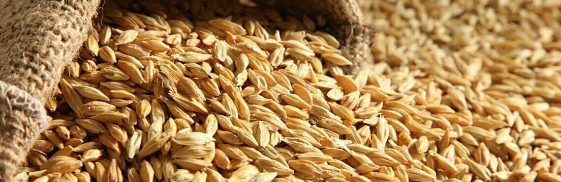  ������ ��������� ���� �������� ��� ���������� 120-������ ������� 