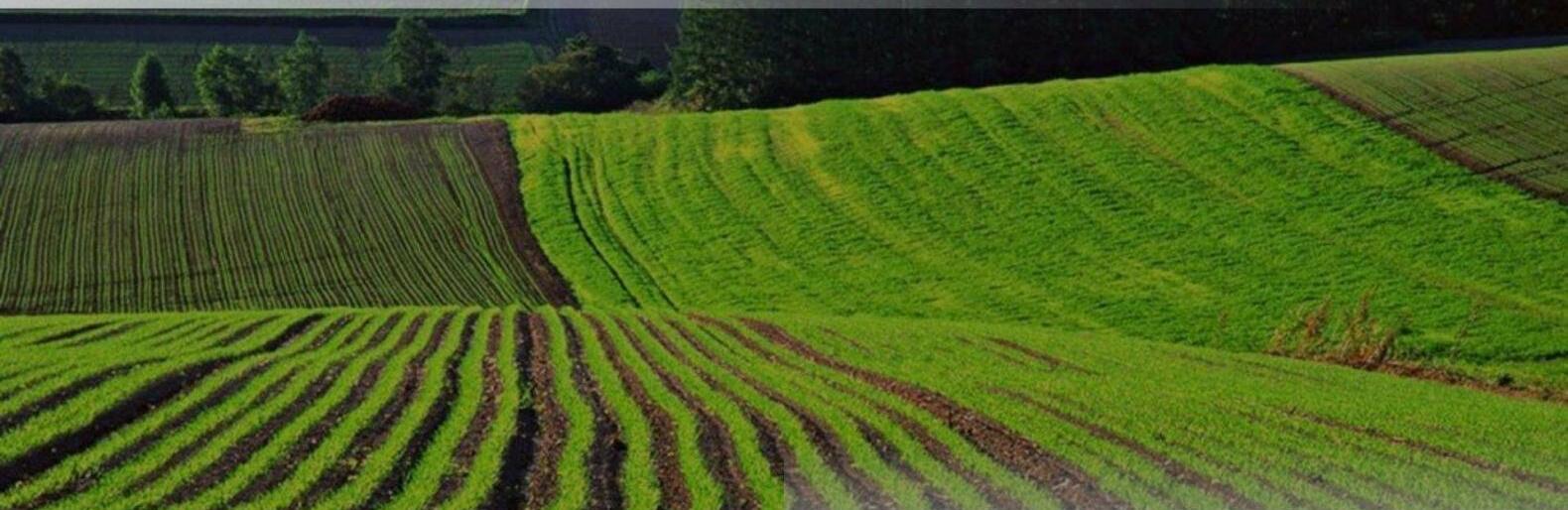  ���������������� ����������� ��������� ����������� ������������ �������� ������ ������� 