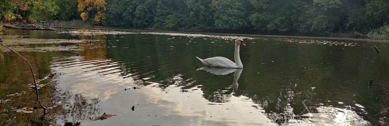  ����� ������ ���� ����� ����� ���� ���� ������ 