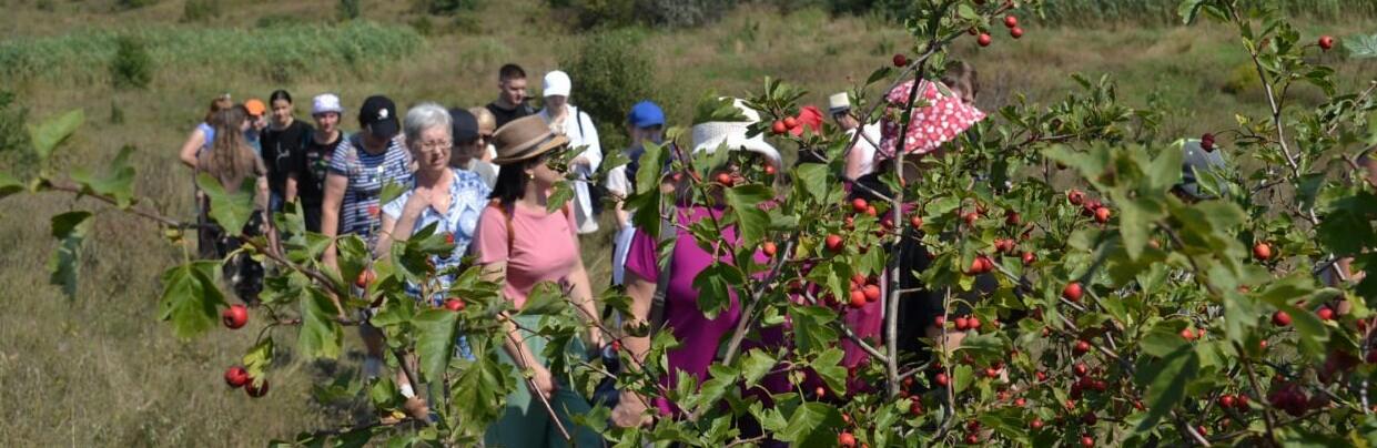  ������ ������� ��� �������� ���������� ������� ����� ����� 