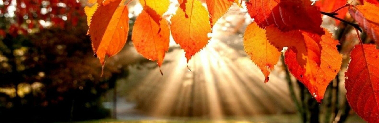 ����: 0564.ua