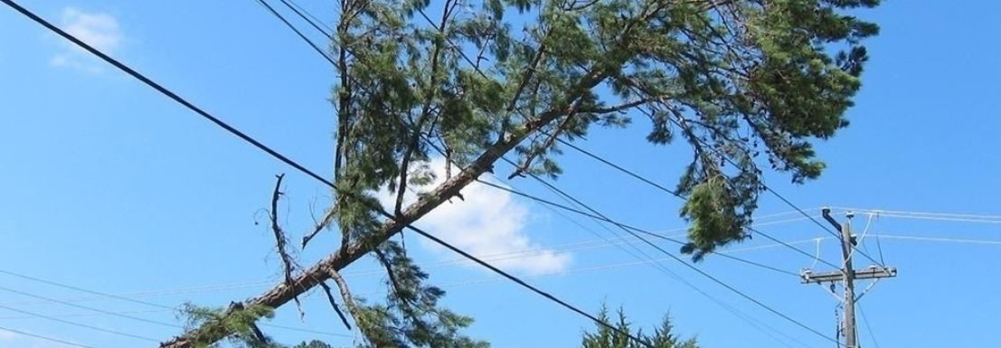  �������� ���� ���������� ���������� ������� ���������� ����� ��������� 