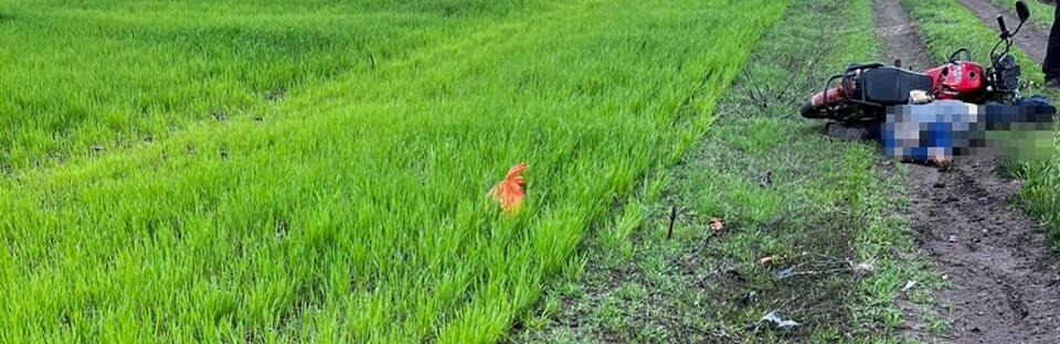  ������������ ������ ������� ������� ��������� �������� ��������� ������� 