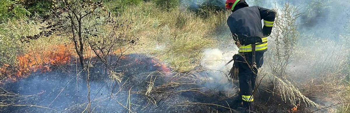  ���������������� ������������ ��������� ������ ����������� ���� 