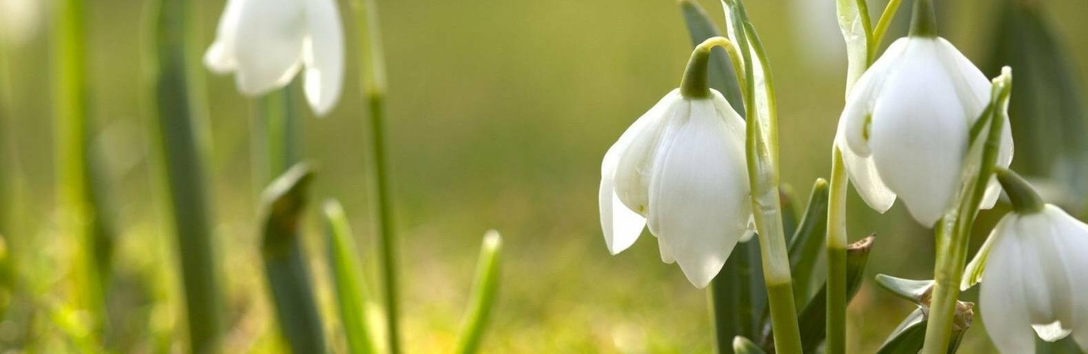  ������ ������� ��� ��������� �������� ����� ��� ����� 