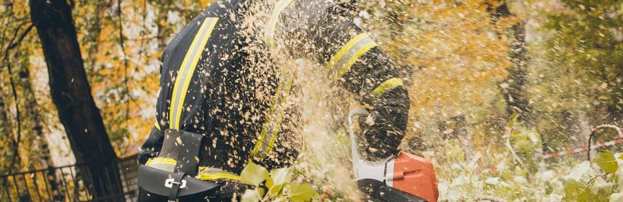  ������ ���������������� �������� ������ 