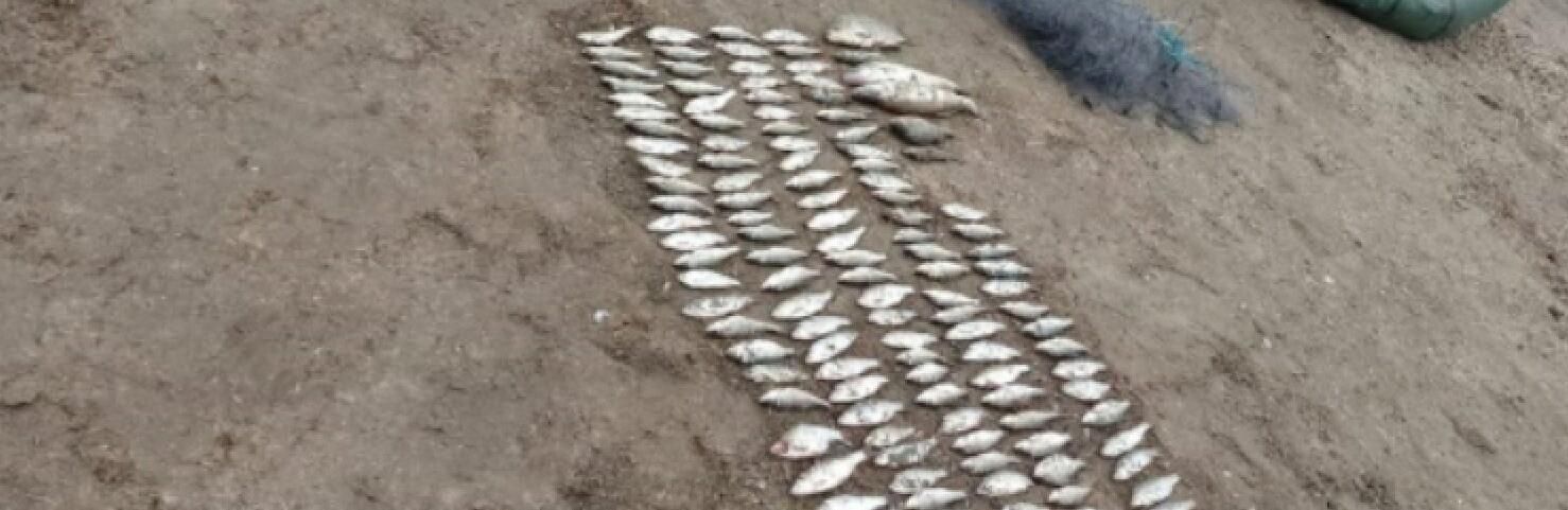 ����: 0564.ua