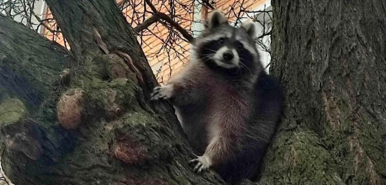 ����: 0564.ua