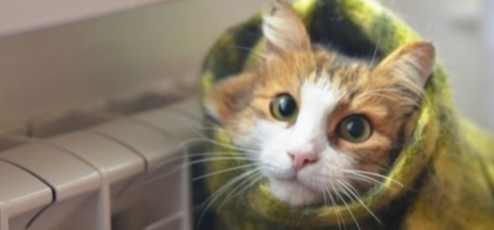 ����: 0564.ua