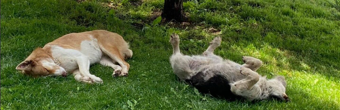  ������ ������� ��� ������� ��������� ������ ����� ���������� 