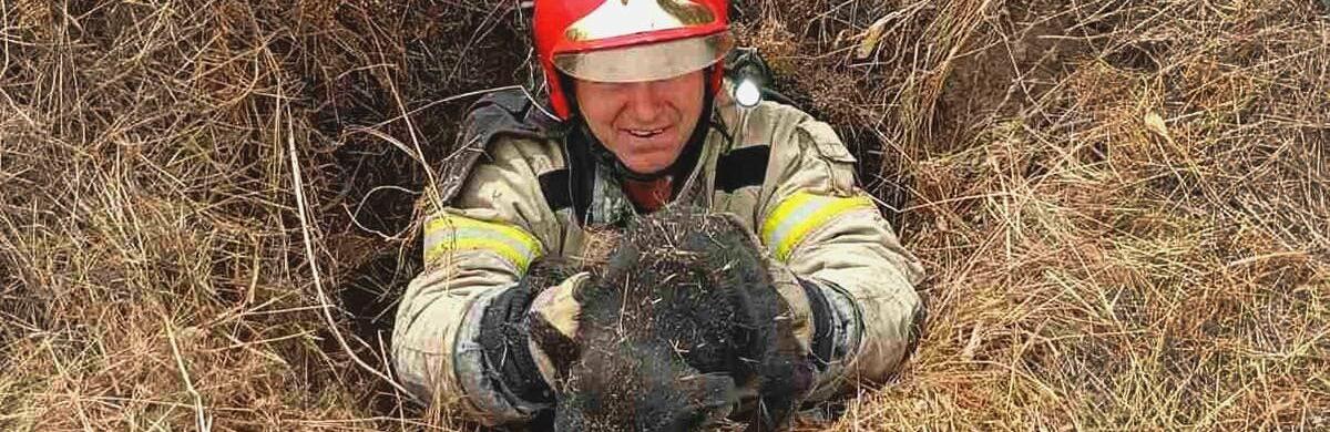  ���������������� ��������� ������������ ������������ �������� ���� 