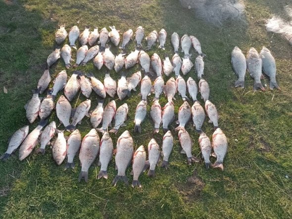 ����: 0564.ua