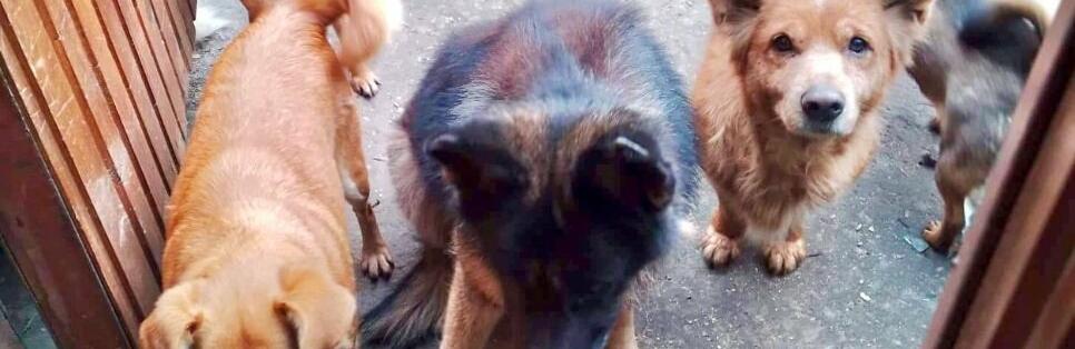 ����: 0564.ua