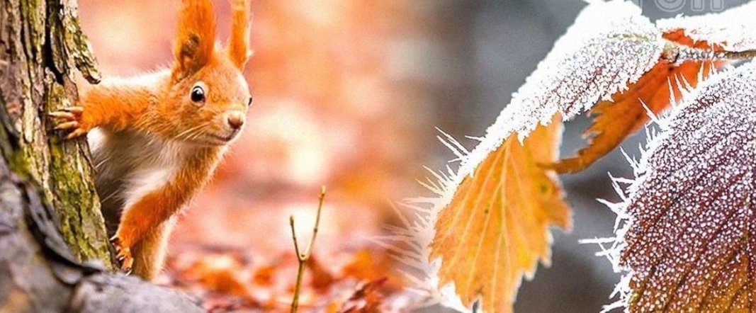  ��������� ����� �������-������� ���� ������ ������� ��� ��������� 