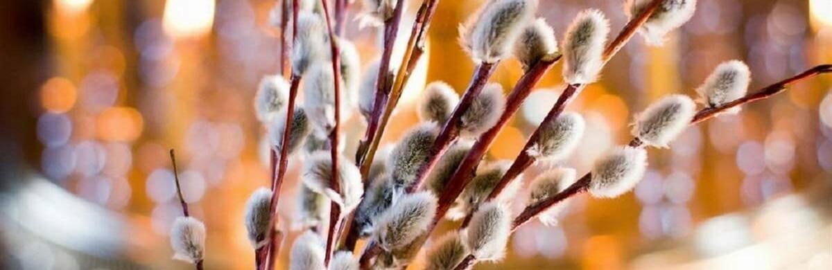  ������ ����� ����� ������ ����� 