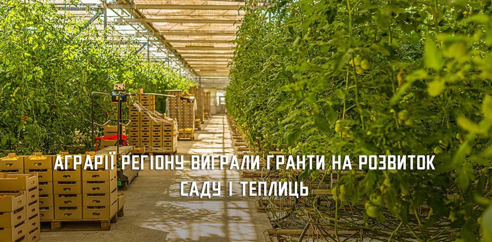 ����: 0564.ua