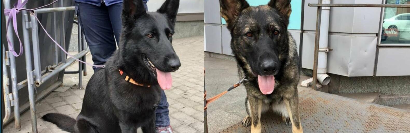  ������� ��� ���� ���� ������� �������� ���� ������� 