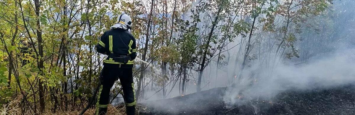  ���������������� ���������� ����������� ����������� ������ ������ ���� ��������� 