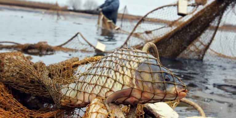 ����: 0564.ua