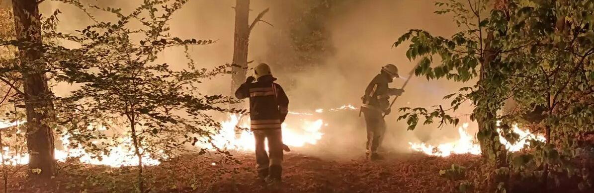  ���������������� ���������� ��������� 106 ����� ����������� ���� 