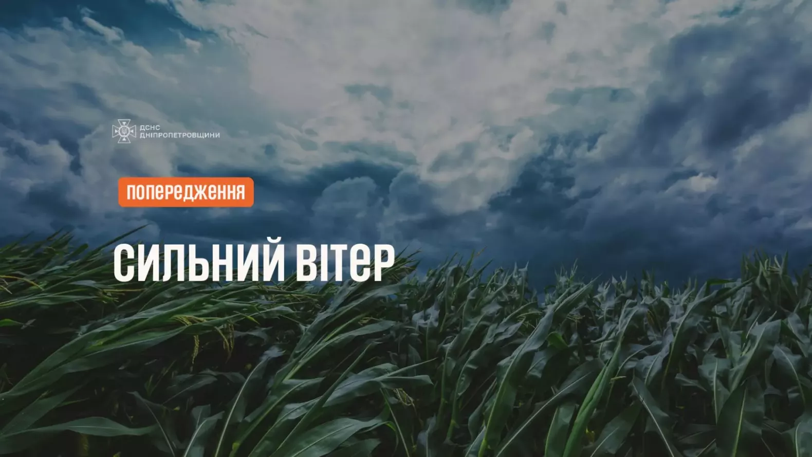  ����� ������ ���������������� ������ ��������� ��������� ���� 