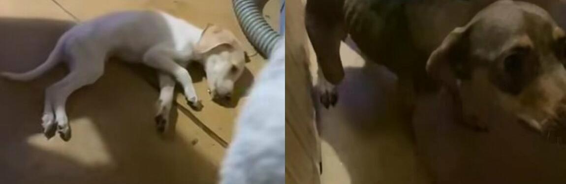  ������� ��� ������� ��� ������� ������ ������� ���� 