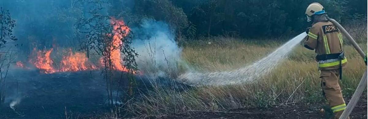  ���������������� �������� ������ ���� ���������� ��������� ����� ����������� 