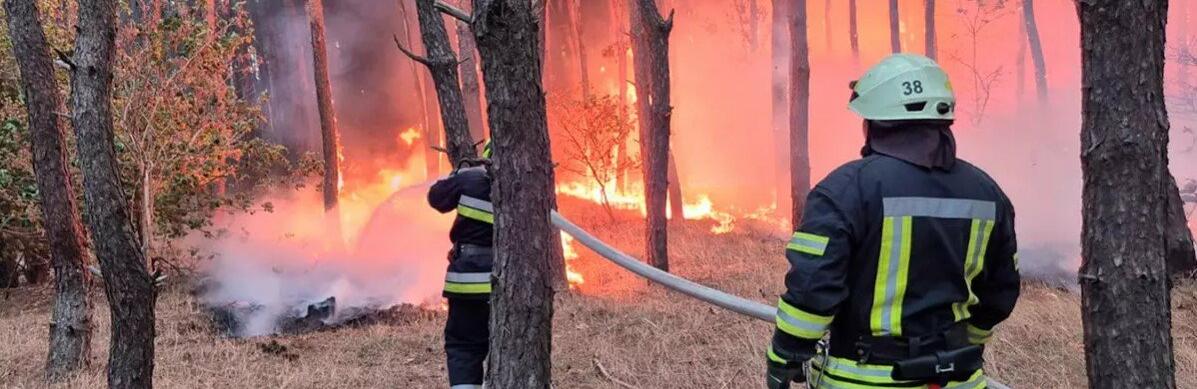  ���������������� ���������� ��������� 145 ����� ��������� ����������� ���� 