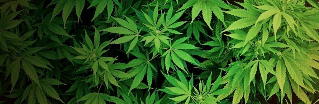  ���� ��������� ������� ������� ����������� ���������� ��������� ������� 