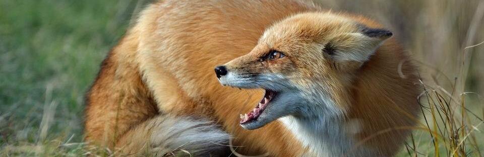  ���������������� ������ ������ ������� ������� ����� 