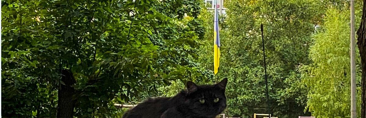  ������ ������� ��� ������ 