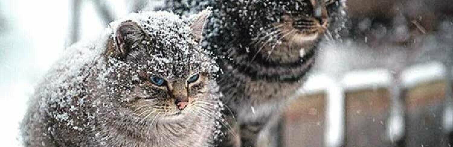 ����: 0564.ua