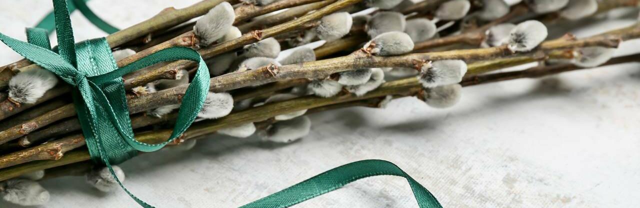 ����: 0564.ua