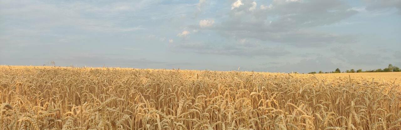 ����: 0564.ua