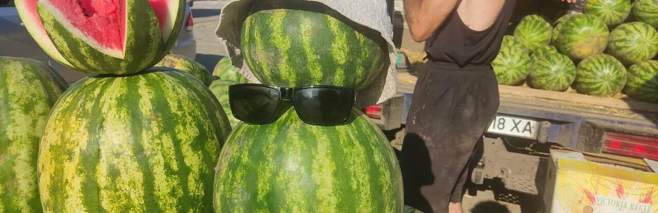  ������� ������ ������� ��� ����� ���������� 