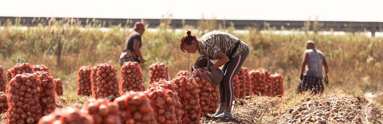  ���������������� ������� �������� ����� ���� 