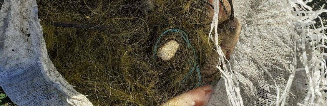  ������� ��� ��������� ������� ���������� ���� 