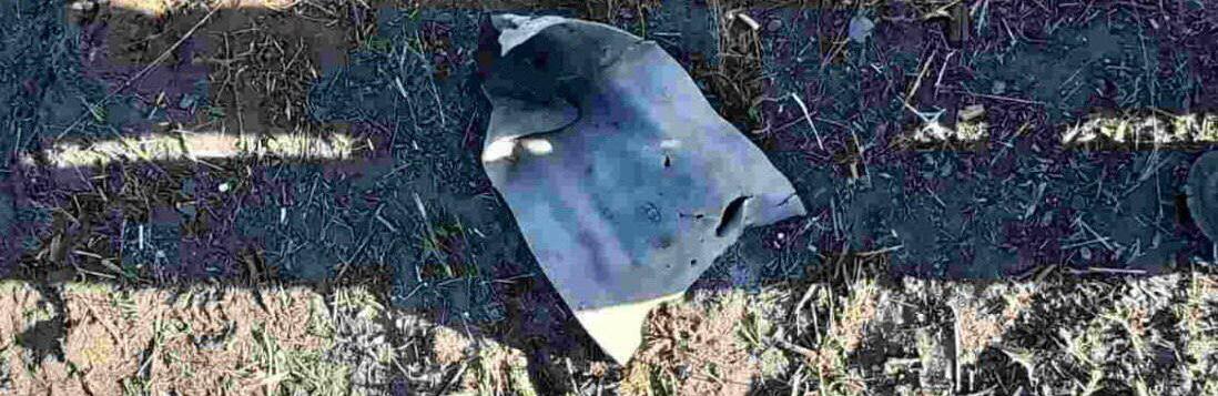  ����� �������� ��������� ����������� ��������������� ������ ������� ���� 