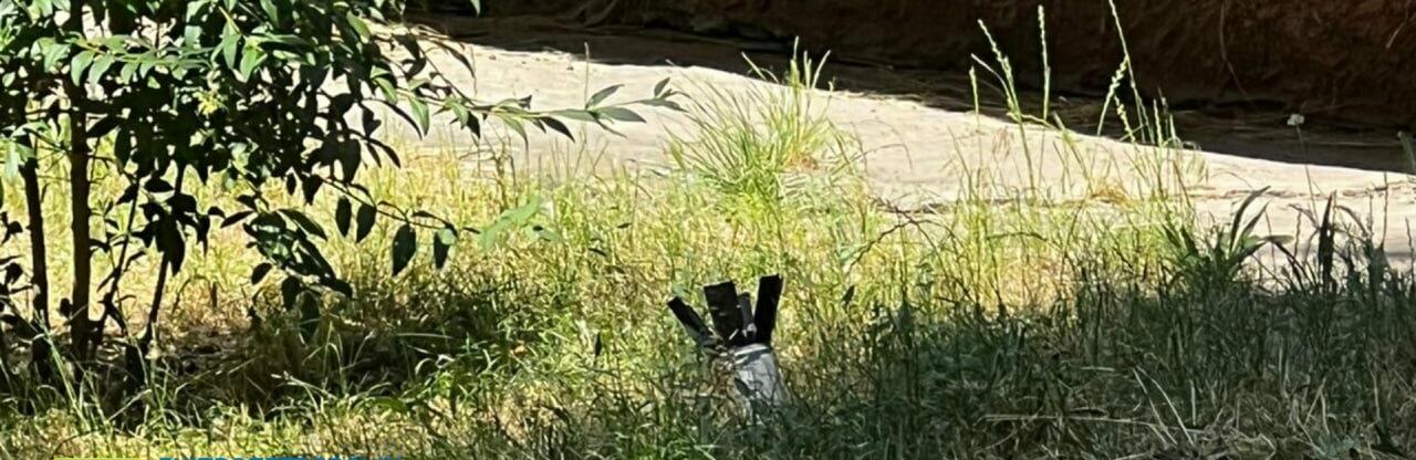  ������� ��������� ������ ��������� �������� ����������� ������� ���������� 