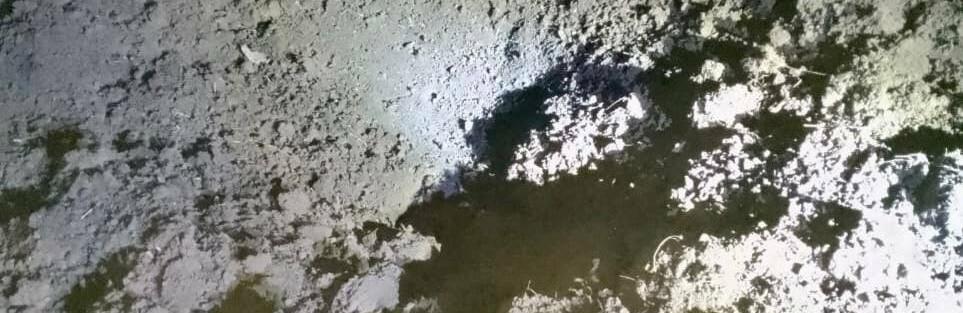  ���� ���� ������� ������ ��������� ������������� ����� ���� 