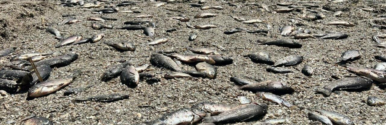 ����: 0564.ua