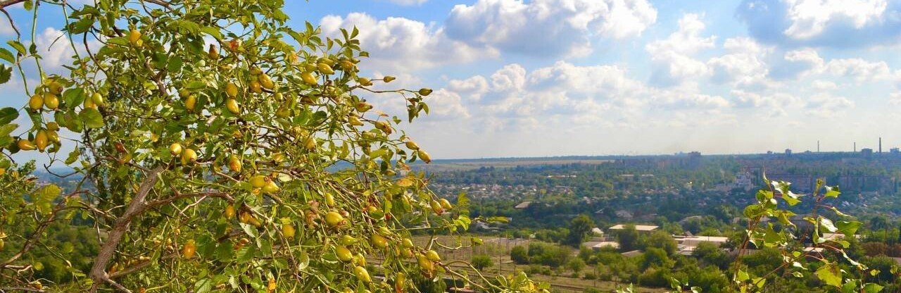  ������ ������� ��� ��������� ������ ��������� ����� 