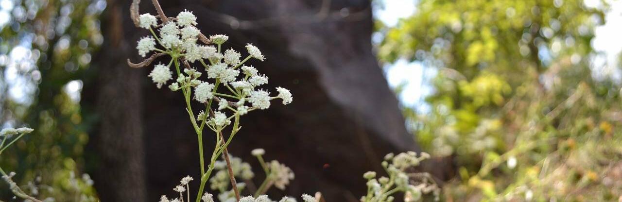  ������ ������� ��� ������ ��������� ������ ��������� ����� 